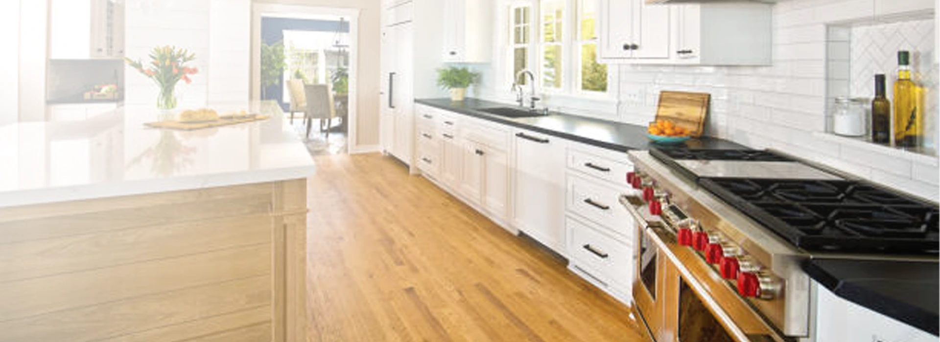 Full Home Renovation